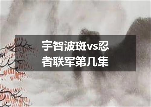 宇智波斑vs忍者联军第几集