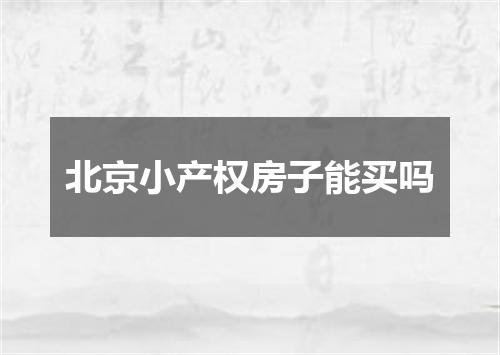 北京小产权房子能买吗
