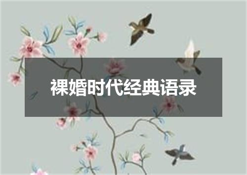 裸婚时代经典语录