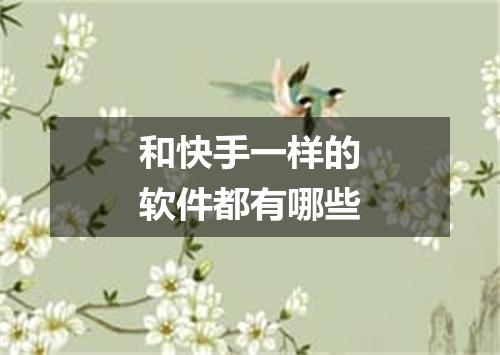 和快手一样的软件都有哪些