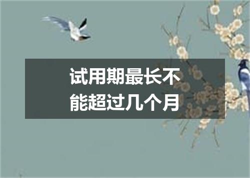 试用期最长不能超过几个月