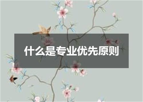 什么是专业优先原则