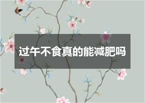 过午不食真的能减肥吗