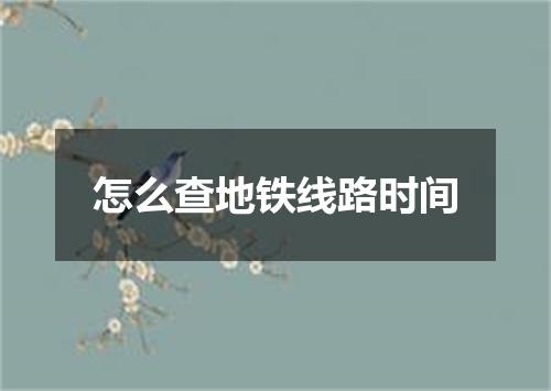 怎么查地铁线路时间
