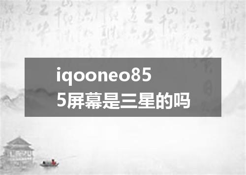 iqooneo855屏幕是三星的吗