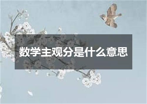 数学主观分是什么意思