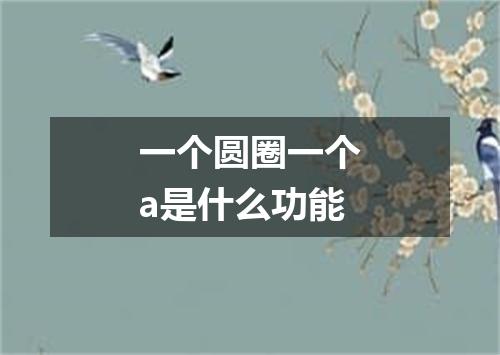 一个圆圈一个a是什么功能