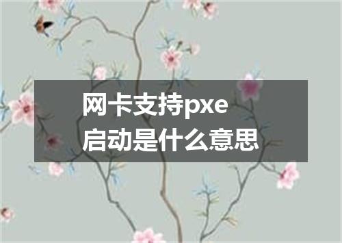 网卡支持pxe启动是什么意思