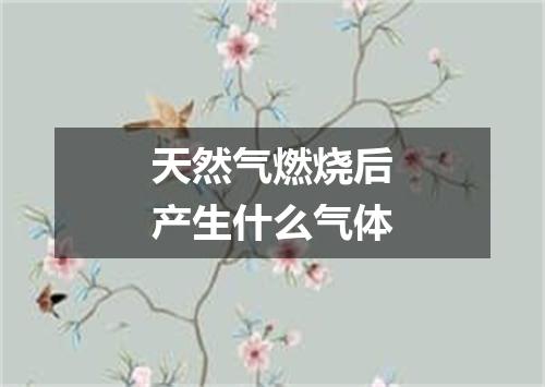 天然气燃烧后产生什么气体