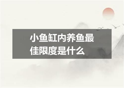 小鱼缸内养鱼最佳限度是什么
