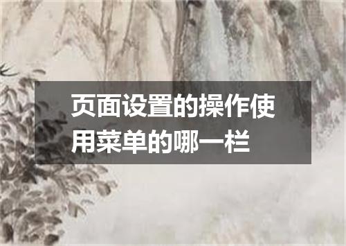页面设置的操作使用菜单的哪一栏