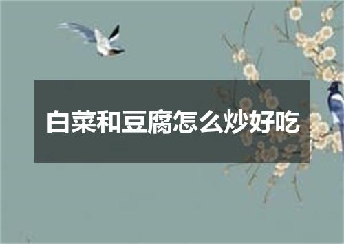 白菜和豆腐怎么炒好吃