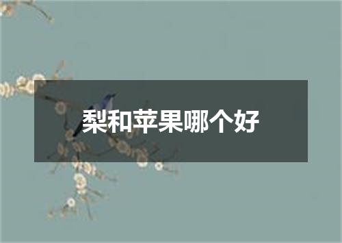 梨和苹果哪个好