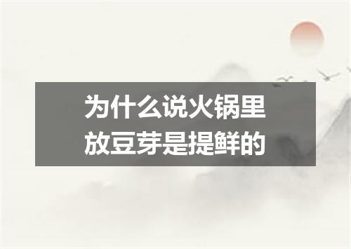 为什么说火锅里放豆芽是提鲜的