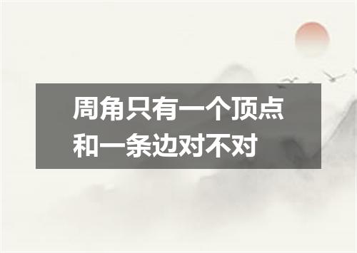 周角只有一个顶点和一条边对不对
