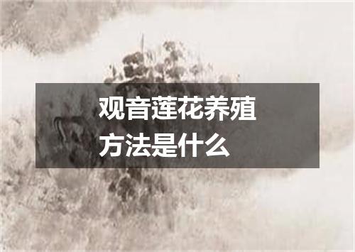 观音莲花养殖方法是什么