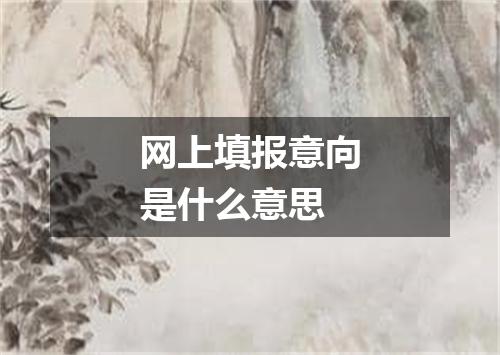 网上填报意向是什么意思