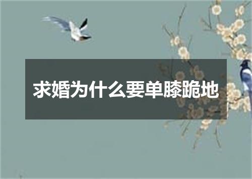 求婚为什么要单膝跪地