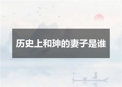 历史上和珅的妻子是谁