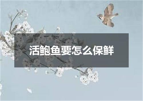 活鲍鱼要怎么保鲜