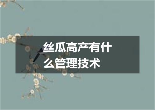 丝瓜高产有什么管理技术