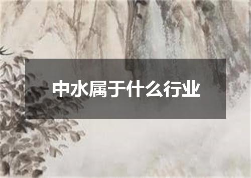 中水属于什么行业