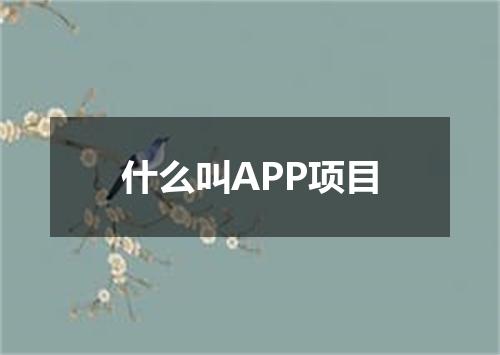 什么叫APP项目