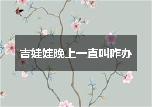 吉娃娃晚上一直叫咋办