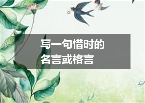写一句惜时的名言或格言