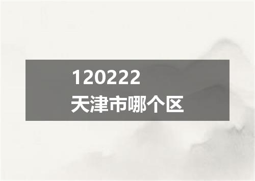 120222天津市哪个区