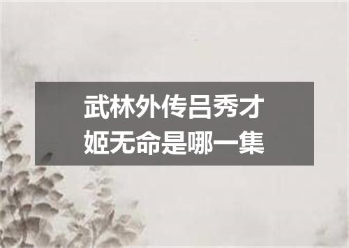 武林外传吕秀才姬无命是哪一集