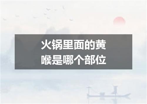 火锅里面的黄喉是哪个部位