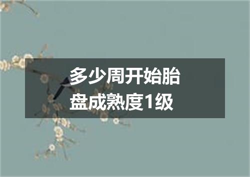 多少周开始胎盘成熟度1级