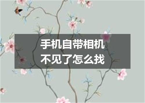 手机自带相机不见了怎么找