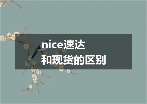 nice速达和现货的区别