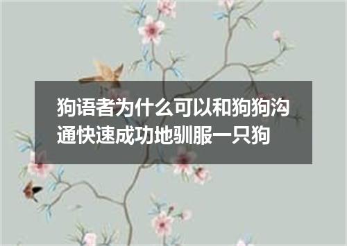 狗语者为什么可以和狗狗沟通快速成功地驯服一只狗