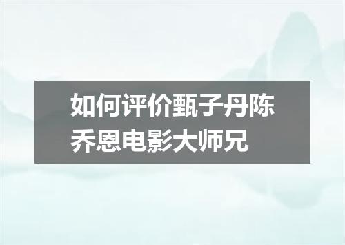 如何评价甄子丹陈乔恩电影大师兄