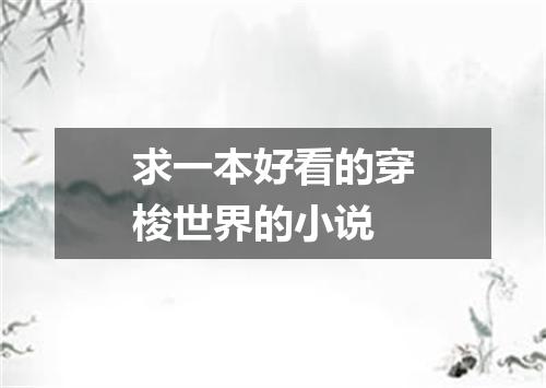 求一本好看的穿梭世界的小说