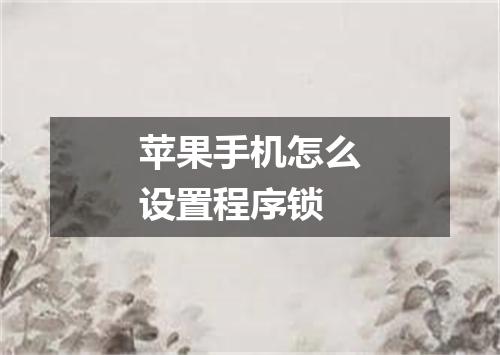 苹果手机怎么设置程序锁