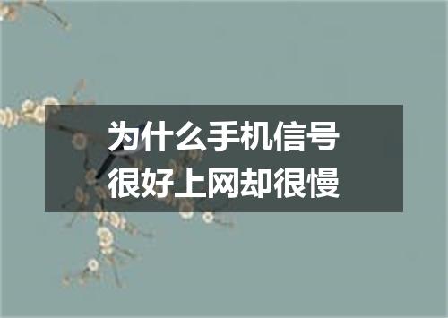 为什么手机信号很好上网却很慢