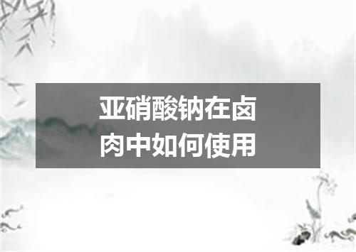 亚硝酸钠在卤肉中如何使用