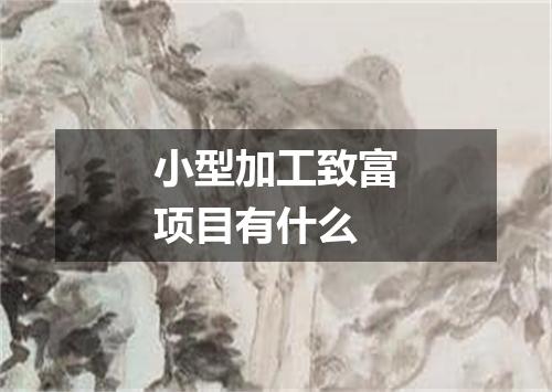 小型加工致富项目有什么