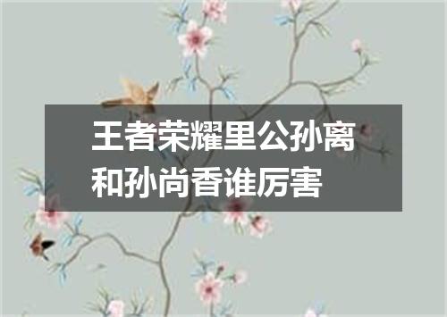 王者荣耀里公孙离和孙尚香谁厉害