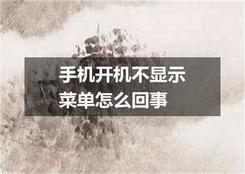 手机开机不显示菜单怎么回事