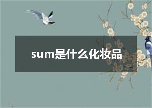 sum是什么化妆品