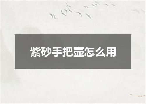 紫砂手把壶怎么用