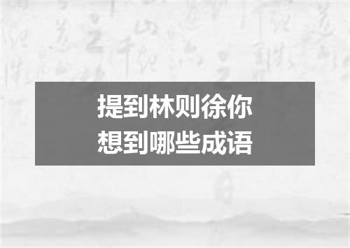 提到林则徐你想到哪些成语