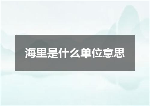 海里是什么单位意思