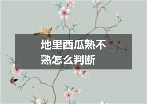 地里西瓜熟不熟怎么判断