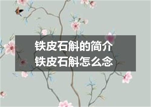 铁皮石斛的简介 铁皮石斛怎么念